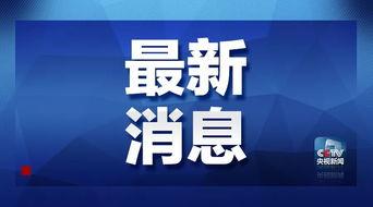 夹江骗局爆料最新消息